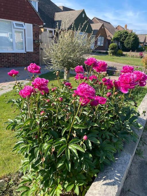 Rooms In A Beautiful House With Free On St Parking Hove Esterno foto